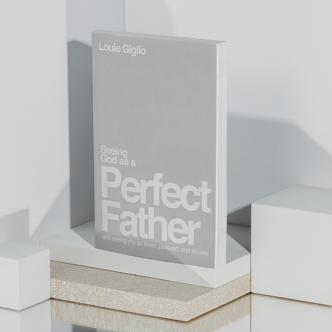 Seeing God as a Perfect Father: And Seeing You as Loved, Pursued, and Secure [Book]